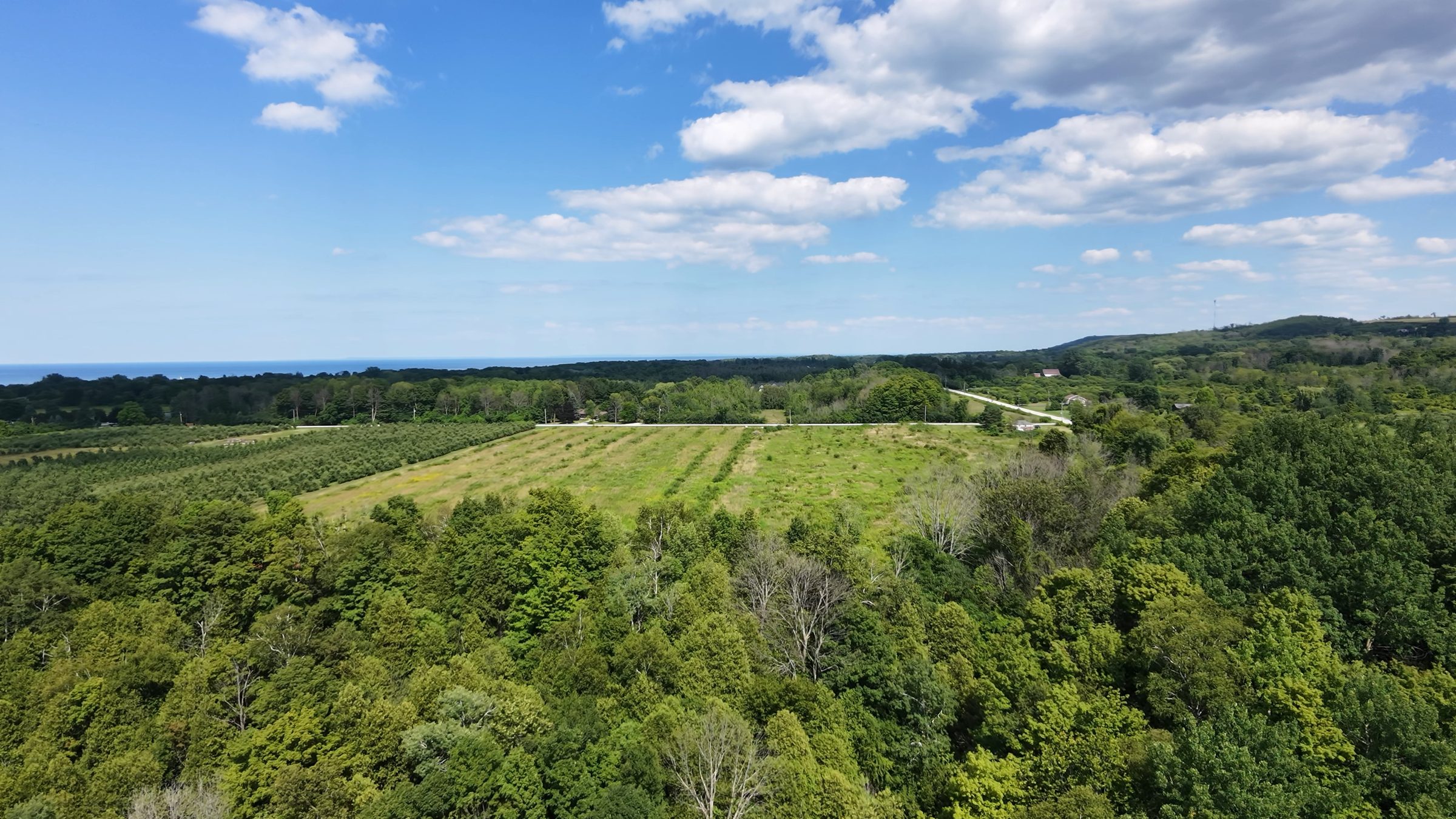 Forest and open fields rolling down toward Georgian Bay under summer cloud
